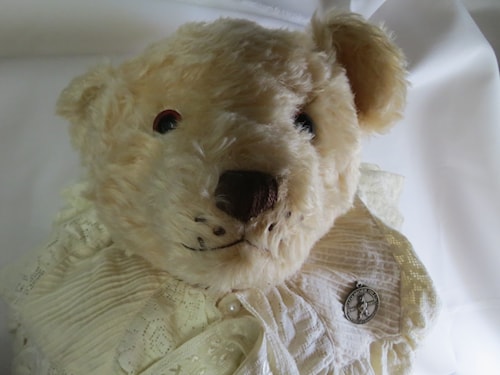 theodore roosevelt pet bear